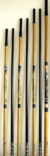 Bambus-Carbon-Mast